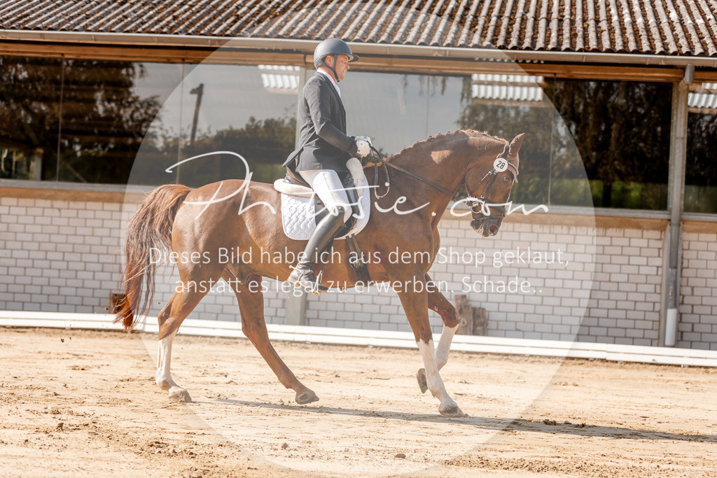 3I6A3420 | Stimmungsvolle Portraits und Reitsportfotografie im Ruhrgebiet und im Münsterland.

Pferdefotografie, Hundefotografie, Tierfotografie, Reportagen, Portraits von Tier und Mensch, Turnierfotografie in Bochum, Recklinghausen, Marl, Haltern am See, Dülmen.. - Realisiert mit Pictrs.com