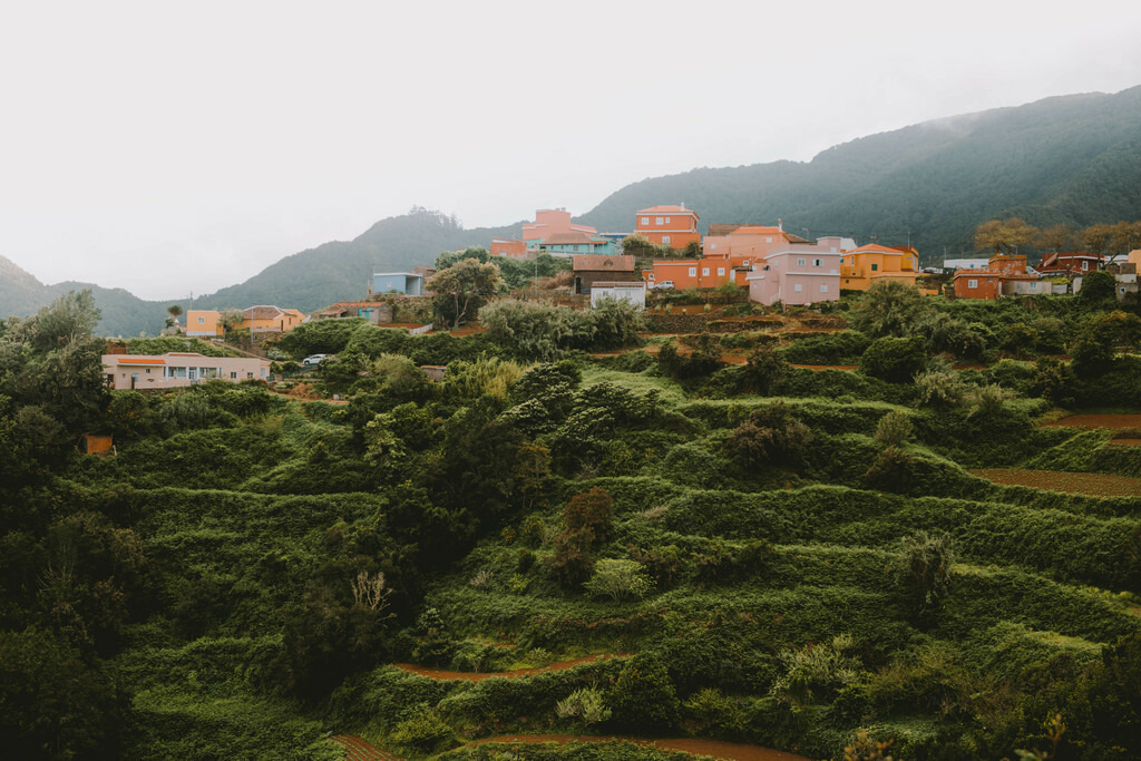 Teneriffa_by Leevke Draack_16 | Du suchst natürliche und atmosphärische Prints oder Leinwanddrucke? In diesem Shop gibt es alles, nur kein Mainstream. - Realisiert mit Pictrs.com