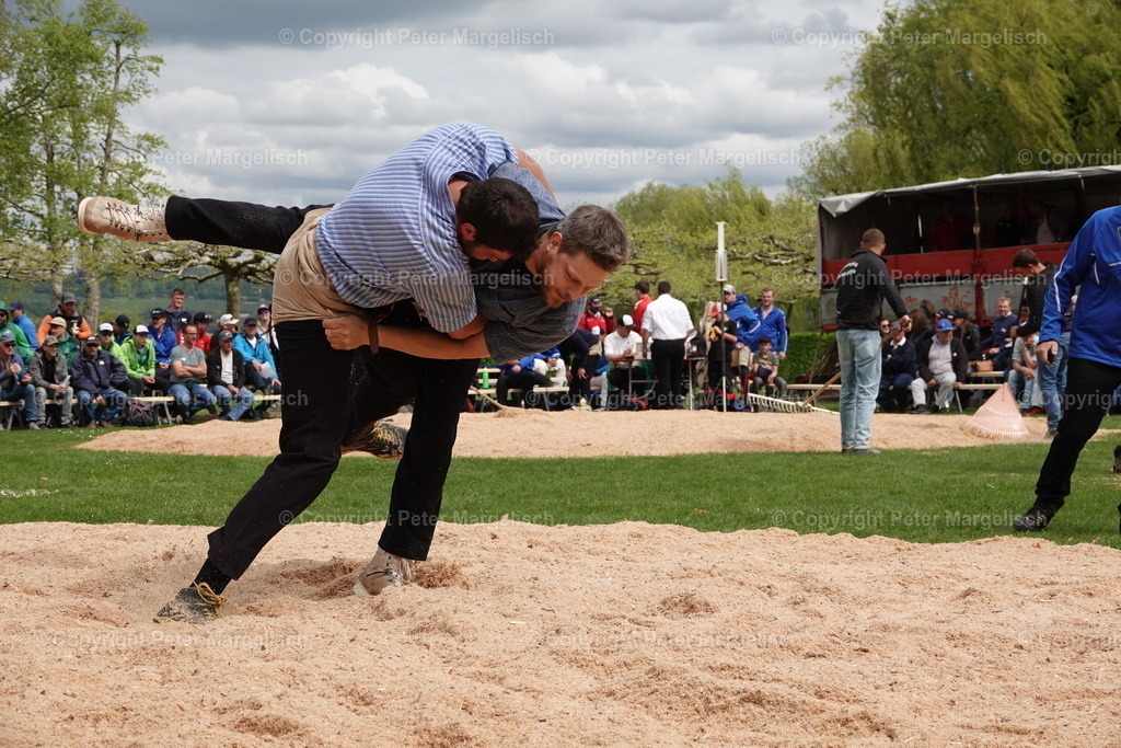 DSC00530 | Schwingen - Realisiert mit Pictrs.com
