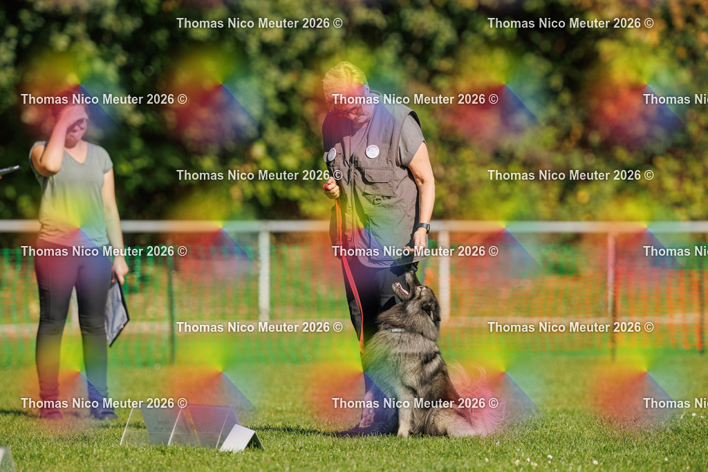 Thomas_Nico_Meuter(C)_04. Oktober 2026_223A2117 | Bild von Thomas Nico Meuter - Realisiert mit Pictrs.com