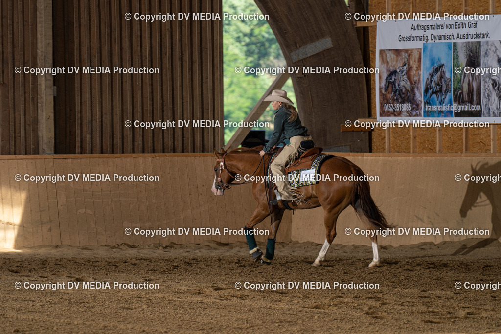 DSC00053 | dv-media-shop - Realisiert mit Pictrs.com