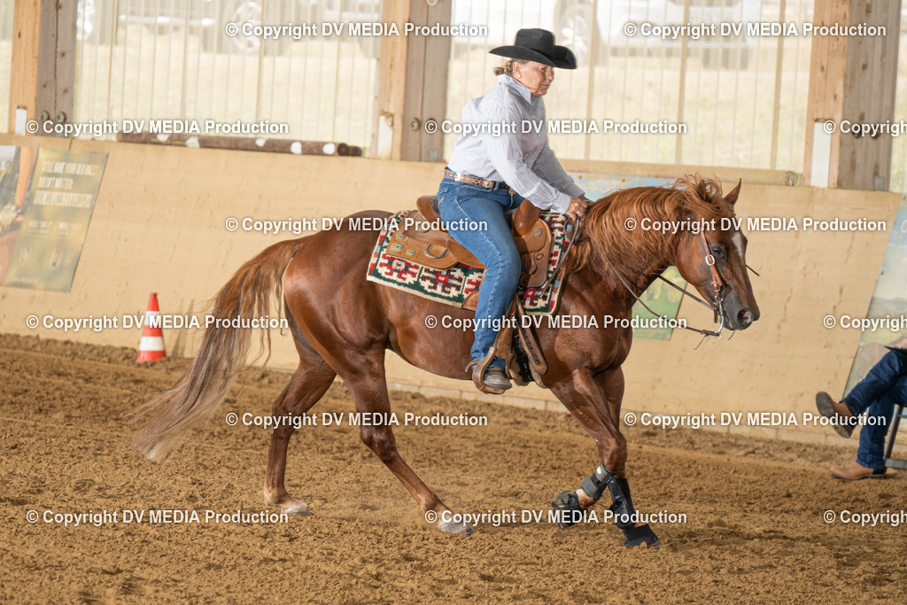 LAU01591 | dv-media-shop - Realisiert mit Pictrs.com