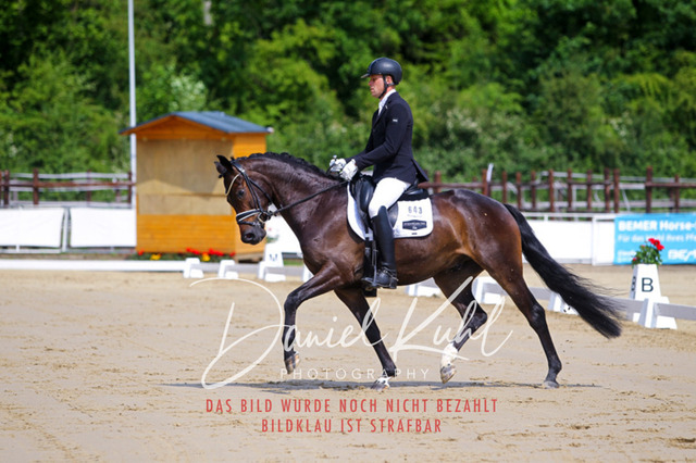 DKP45897 | Turniersportfotografie; Pferdefotografie; Dressurfotografie