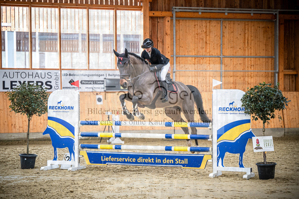 DOS_2572 | Entdecke hochwertige Reitturnierfotos von Foto Oger. Professionell, emotional und authentisch – jetzt Lieblingsmomente im Shop bestellen.Deutschlandweite Turnierfotografie. - Realisiert mit Pictrs.com