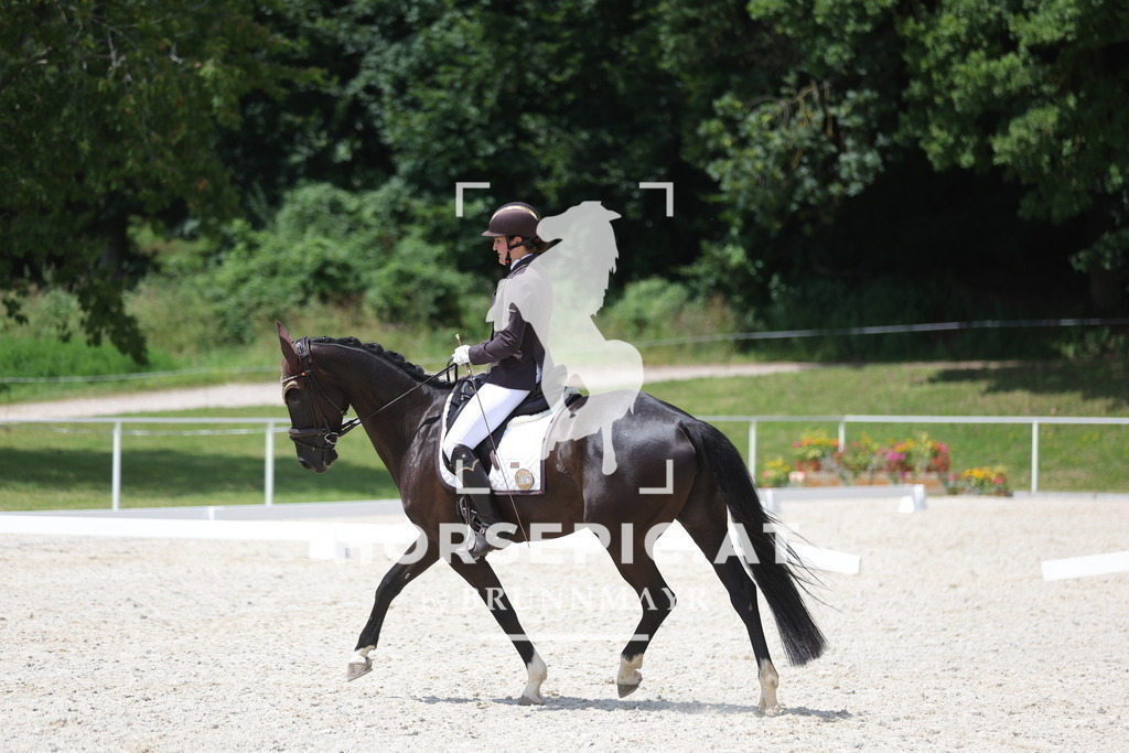 1P6A6283 | Willkommen bei Brunnmayr - Design & Fotografie – Ihrem Spezialisten für Reitturniere und Pferdeveranstaltungen in Oberösterreich, Salzburg und Bayern! Seit über 17 Jahren sind wir leidenschaftlich dabei.