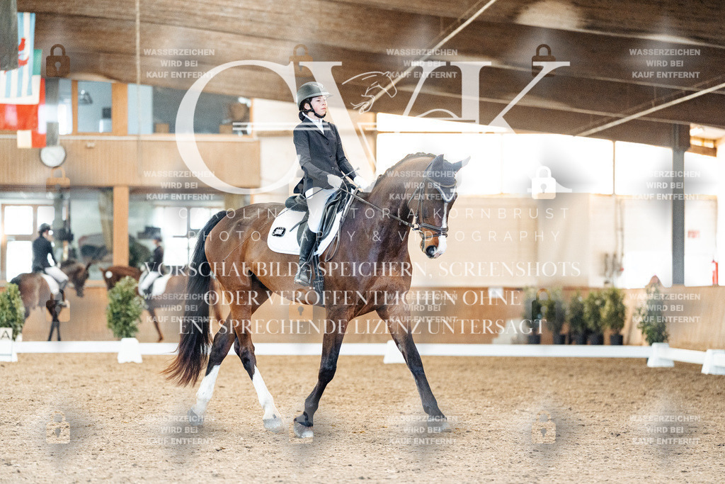 CK908408 | Turnierfotografie Pferdefotografie Trier Rheinland-Pfalz Pferdesport Reitsport Tierfotografie Sportfotografie Pferdevideo Pferdevideografie Equestrianvideography equestrianphotography  - Realisiert mit Pictrs.com