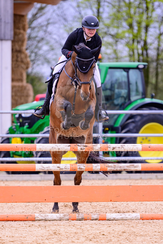 12042026-Mammendorf-Prfg39-0313 | Fokus Hufschlag Fotografie - Realisiert mit Pictrs.com