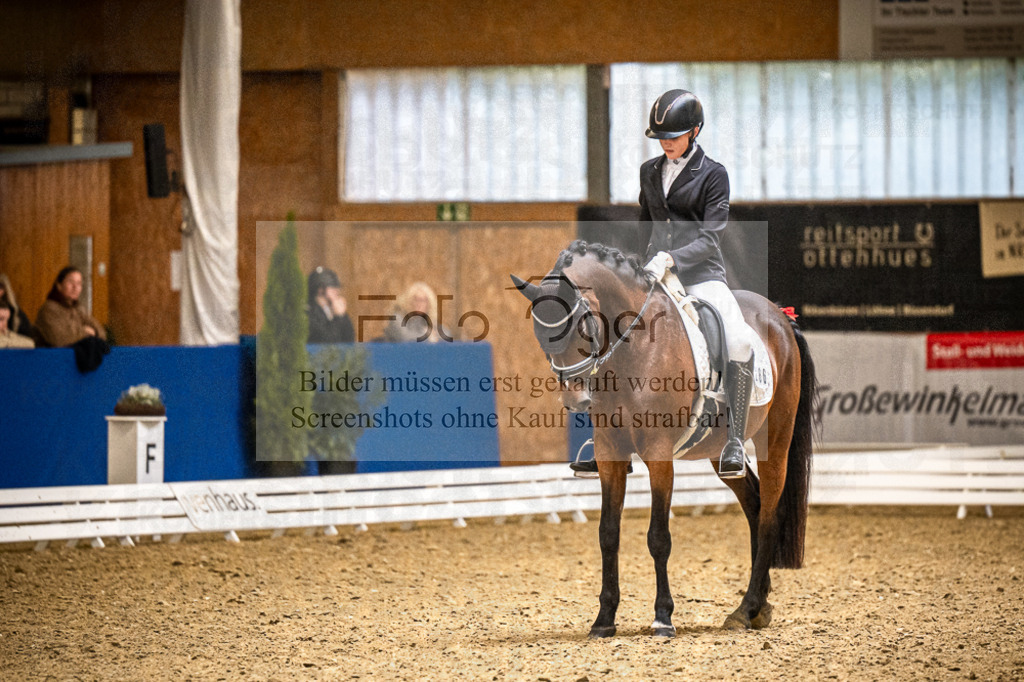 DOS_4553 | Entdecke hochwertige Reitturnierfotos von Foto Oger. Professionell, emotional und authentisch – jetzt Lieblingsmomente im Shop bestellen.Deutschlandweite Turnierfotografie. - Realisiert mit Pictrs.com