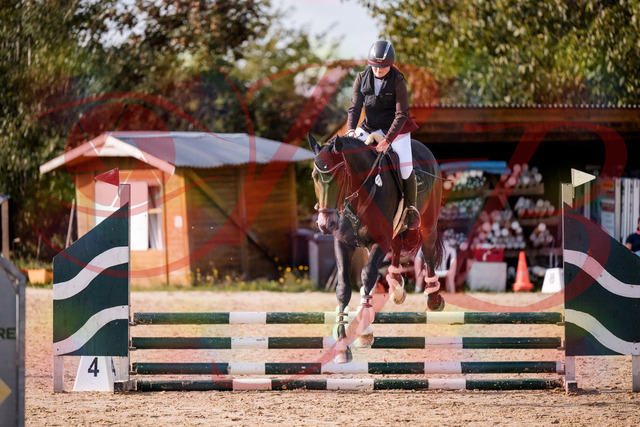2026_10_03_Siefer-Hof_154324_Z81_61390205 | Professionelle Reitsport-, Turnier- und Eventfotografie von Robert Broda. Galerien mit ausgewählten und bearbeiteten Bildern direkt online ansehen und bestellen.