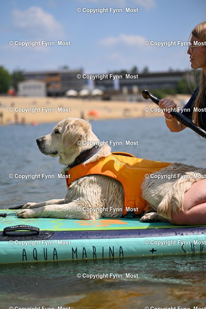 DSC_3447 | Hallo und herzlich Willkommen auf meiner Shop-Seite Fynn Most.

Ich wünsche Dir viel Spaß beim stöbern durch die Bilder, wenn Du Fragen hast oder Bilder vermisst, kannst du mir gerne eine Nachricht schreiben. - Realisiert mit Pictrs.com