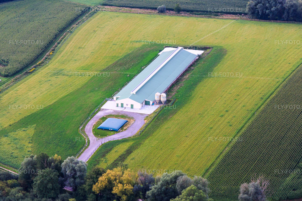 Vue aérienne: Nouvelle sélection avicole à Trimbach dans le département Bas Rhin, France – .Photo: IMG_137722.jpg prise le 12/08/2023 par Werner Riehm/FLY-FOTO.eu – Résolution de l'original: 4421 x 2948 px