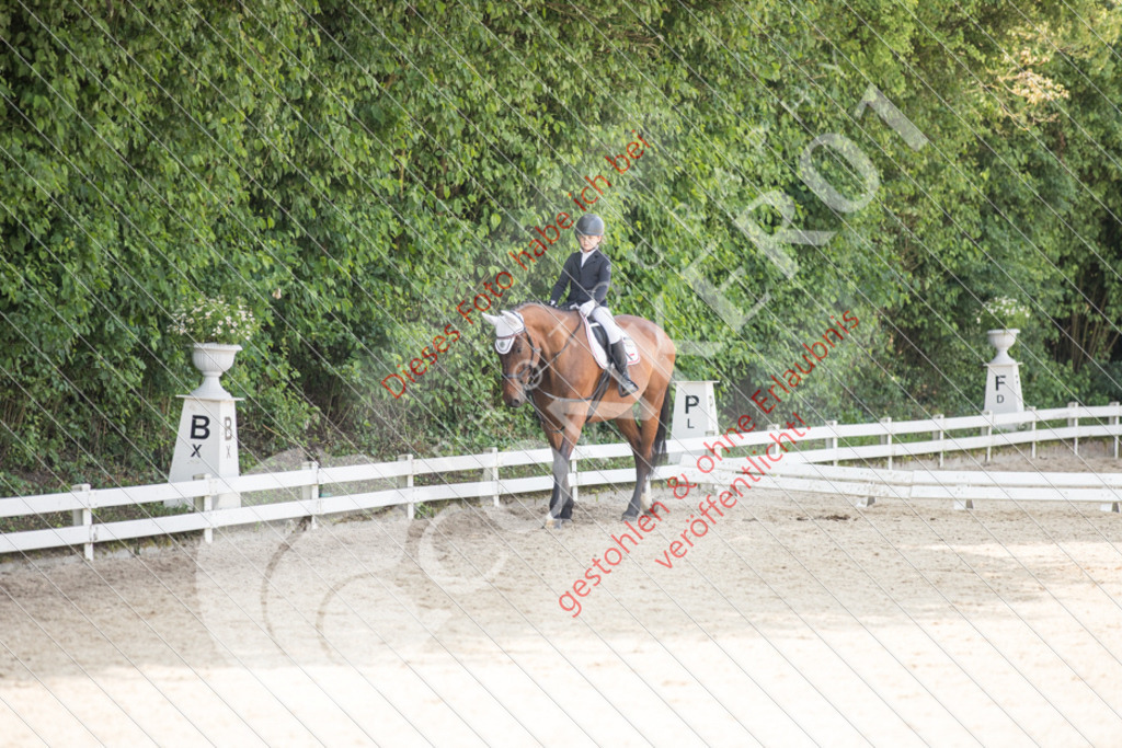 IMG_3435 | Sport-, Event- und Tierfotos in Profiqualität. Einfach auswählen, bestellen und herunterladen. Dein Moment – perfekt festgehalten.