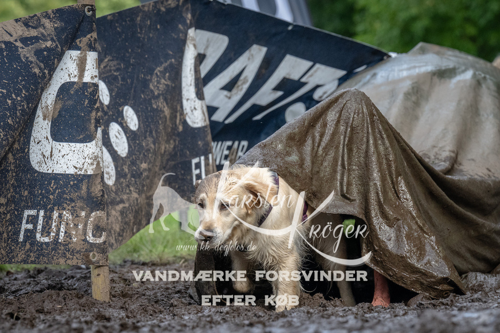 1736_ZZ92846 | kk-dogfotos