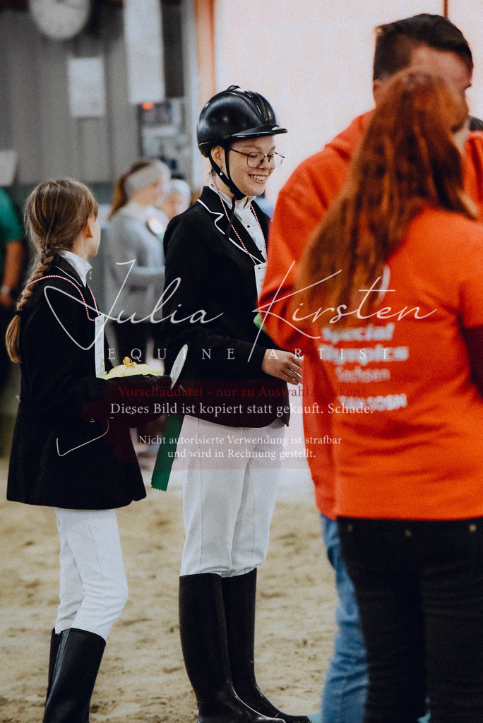 DSC_7022 | Pferde- und Turnierfotografie in Westsachsen. Pferdeportraits, Auftragszeichnungen und intuitive Kunst.