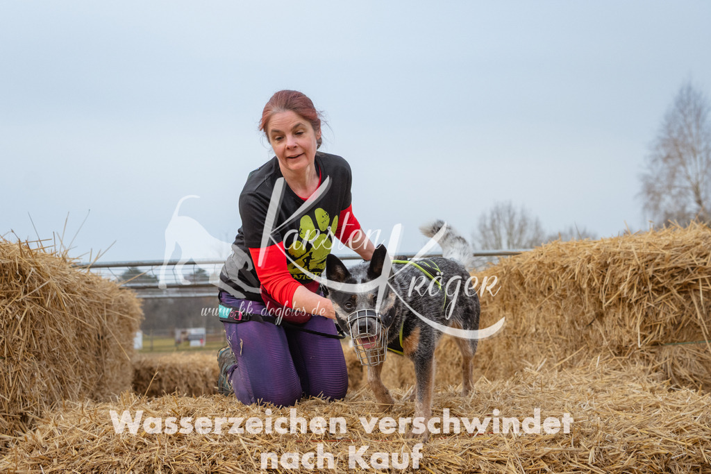 0822_ZZ92706 | kk-dogfotos