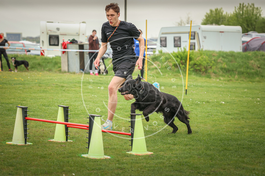 Pfotenfotografie_0L8A0493 | Hundefotografie, Tierfotograf, Pfotenfotografie, Fotoshooting Hund, Hunde Portrait, Hundesport, Hundeportraits, Heideshooting, Hunde, Sportfotograf, Hundefotograf, Turnierhundsport, THS,  - Realisiert mit Pictrs.com