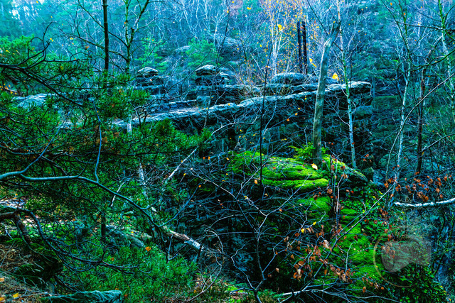 _DSC6099 | Shop für Prints Landschaftsfotografie Sächsische Schweiz Naturfotografie in Thüringen Fotos vom Findlingspark Nochten Kloster Sankt Marienstern Bilder Festung Königstein PanoramaRhododendronpark Kromlau FotogalerSchleswig-Holstein Küstenlandschaften