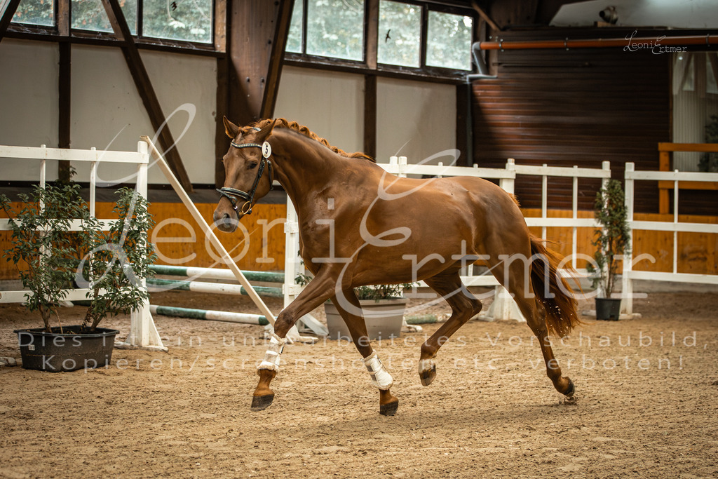 1FS_L00068 | Leoni Ertmer Photography - Realisiert mit Pictrs.com