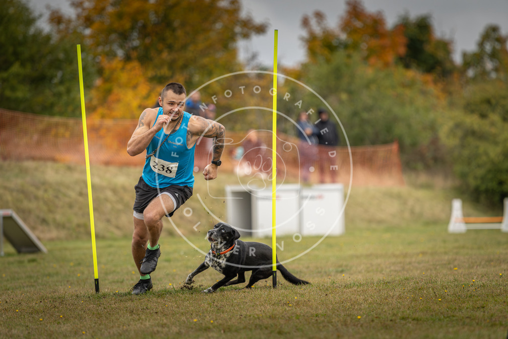 Pfotenfotografie_DV3A5333 | Hundefotografie, Tierfotograf, Pfotenfotografie, Fotoshooting Hund, Hunde Portrait, Hundesport, Hundeportraits, Heideshooting, Hunde, Sportfotograf, Hundefotograf, Turnierhundsport, THS,  - Realisiert mit Pictrs.com