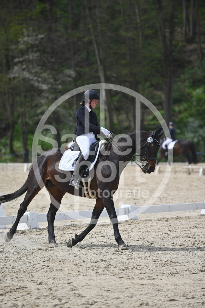 DSC_4285 | sattelsport - Realisiert mit Pictrs.com