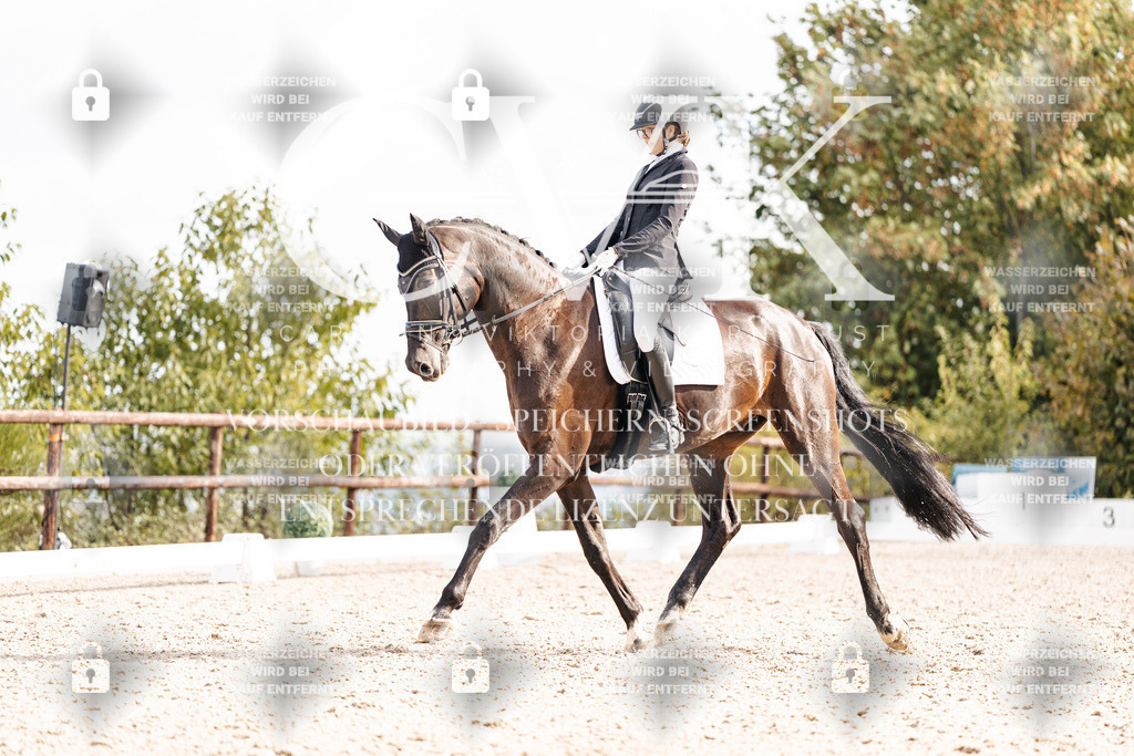 CK901738 | Turnierfotografie Pferdefotografie Trier Rheinland-Pfalz Pferdesport Reitsport Tierfotografie Sportfotografie Pferdevideo Pferdevideografie Equestrianvideography equestrianphotography  - Realisiert mit Pictrs.com