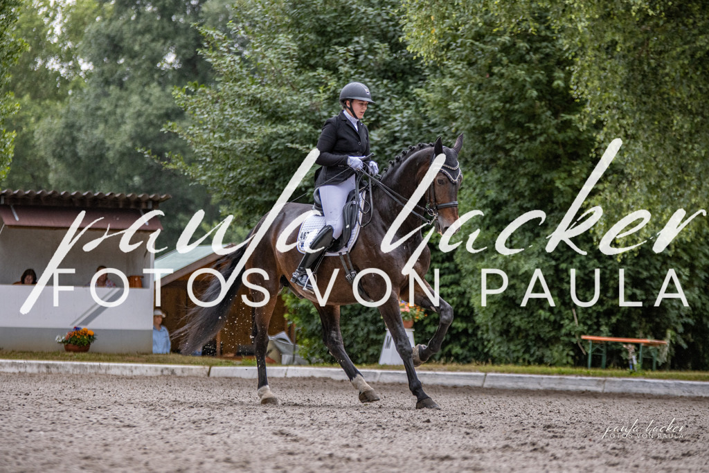 IMG_6541 | Erleben Sie dynamische Sport- und emotionale Tierfotografie in Süddeutschland mit Fotos von Paula. Spezialisiert auf Pferde- und Hundefotografie sowie Sportevents. Kontaktieren Sie mich für einzigartige und ausdrucksstarke Bilder Ihrer besonderen Momente. - Realisiert mit Pictrs.com