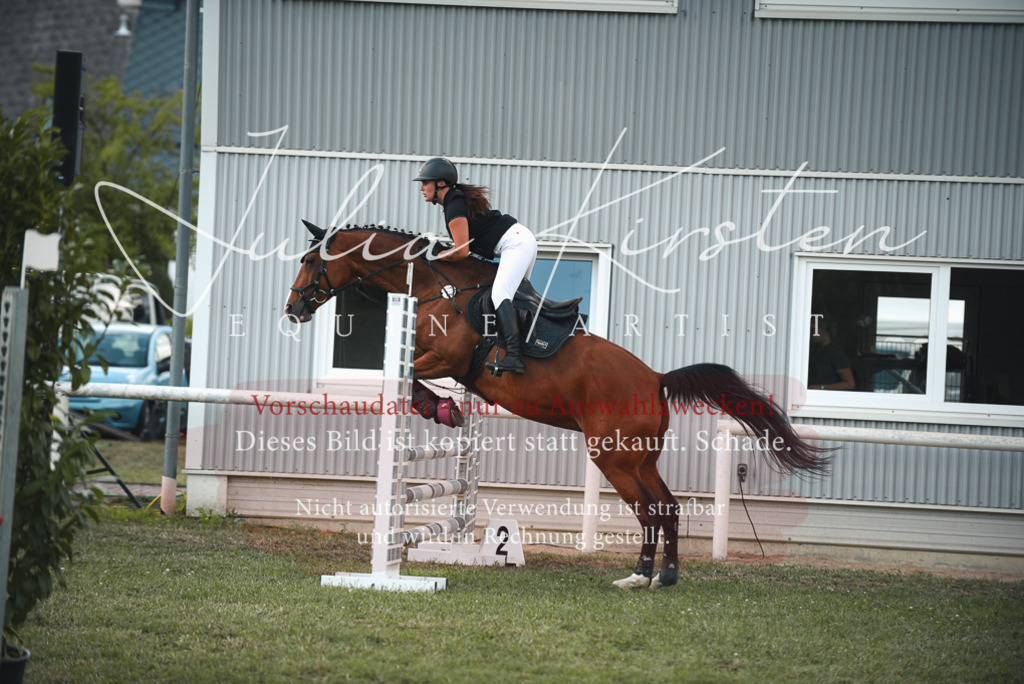DSC_6695 | Pferde- und Turnierfotografie in Westsachsen. Pferdeportraits, Auftragszeichnungen und intuitive Kunst.