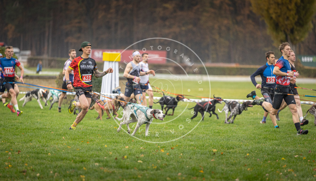 CaniXpix_DV3A9471 | Hundefotografie, Tierfotograf, Pfotenfotografie, Fotoshooting Hund, Hunde Portrait, Hundesport, Hundeportraits, Heideshooting, Hunde, Sportfotograf, Hundefotograf, Turnierhundsport, THS,  - Realisiert mit Pictrs.com