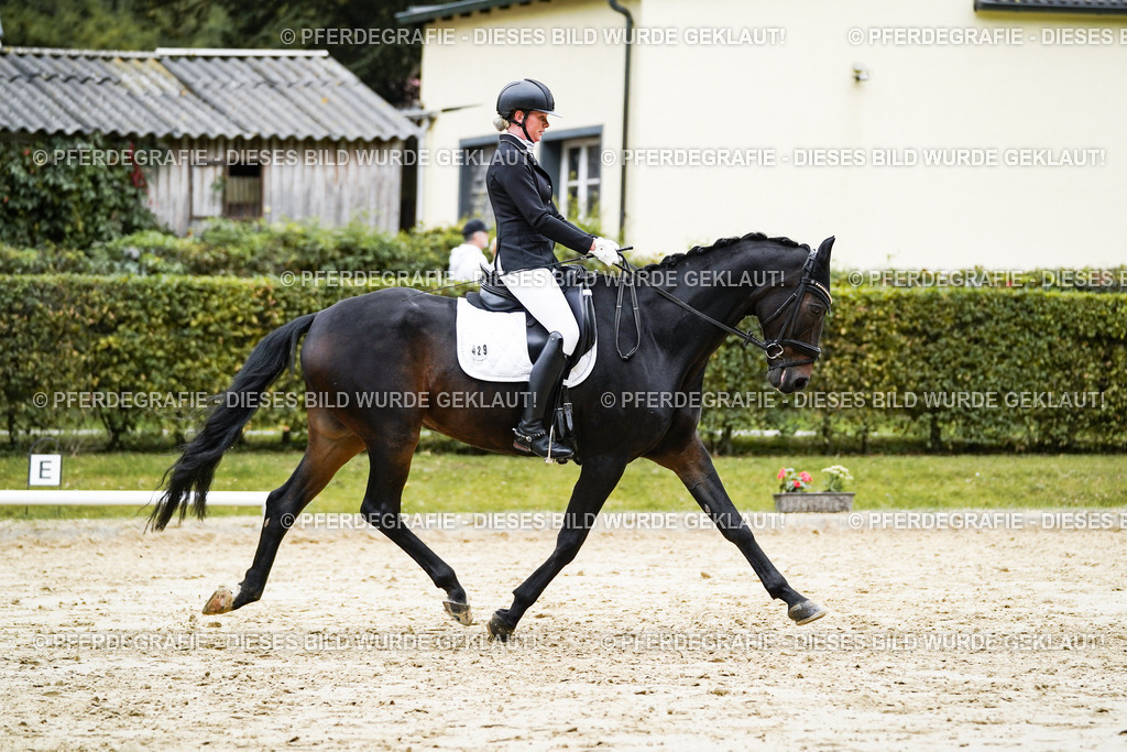 DSC07140 | Pferdegrafie