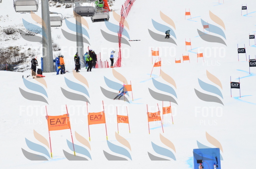 _ELE3528 | holidayphoto