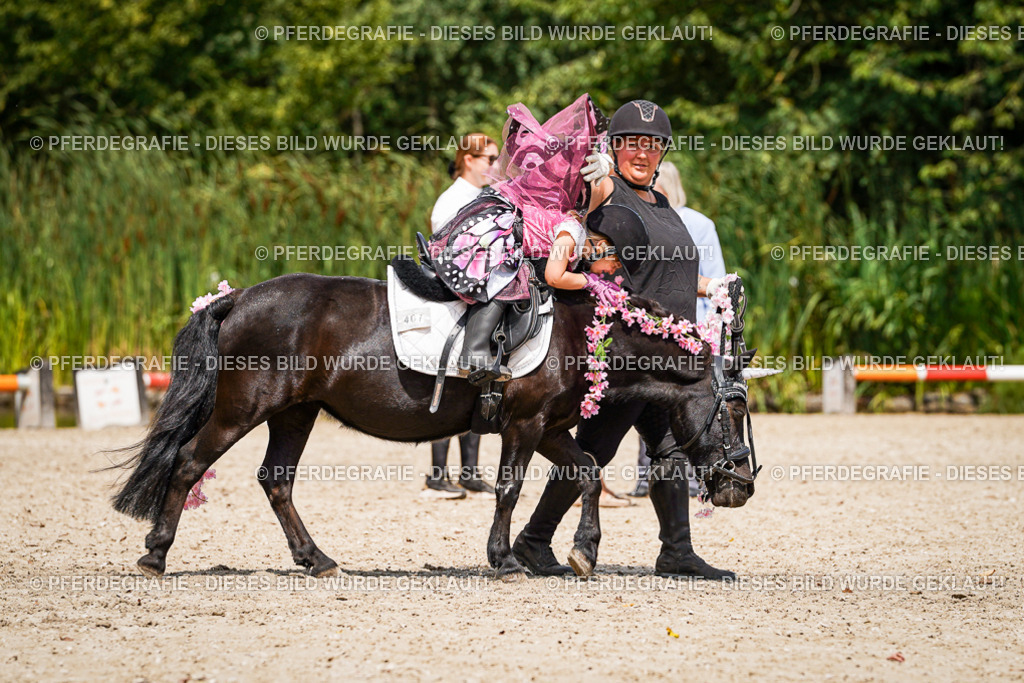 DSC03077 | Pferdegrafie