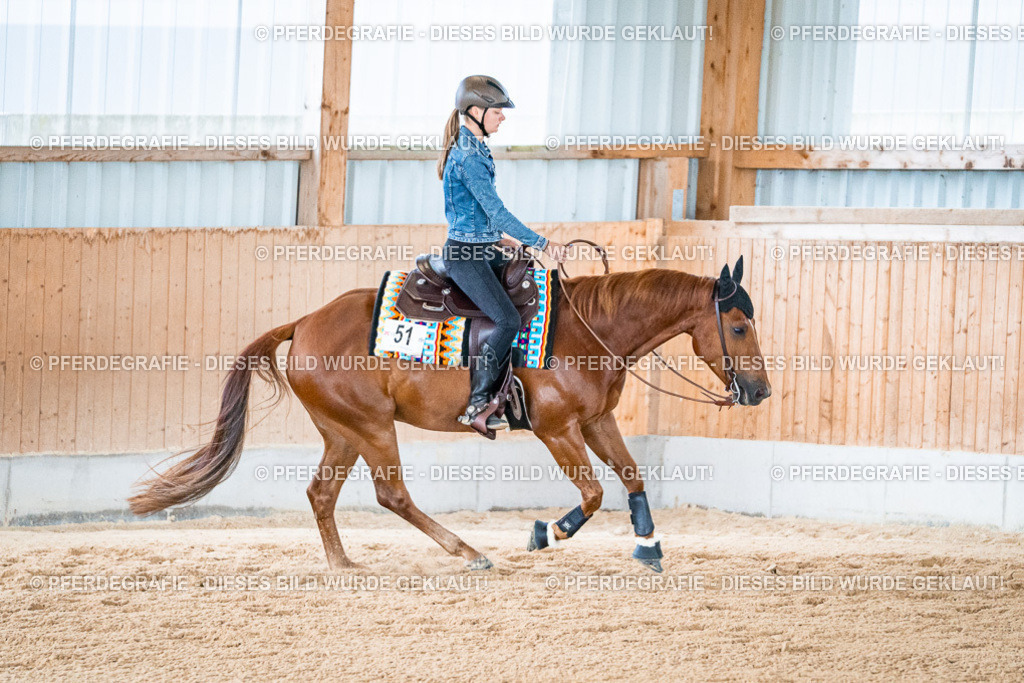 DSC09445 | Pferdegrafie