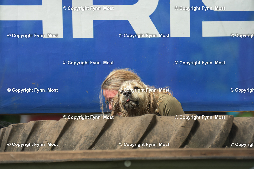 DSC_0027 | Hallo und herzlich Willkommen auf meiner Shop-Seite Fynn Most.

Ich wünsche Dir viel Spaß beim stöbern durch die Bilder, wenn Du Fragen hast oder Bilder vermisst, kannst du mir gerne eine Nachricht schreiben. - Realisiert mit Pictrs.com