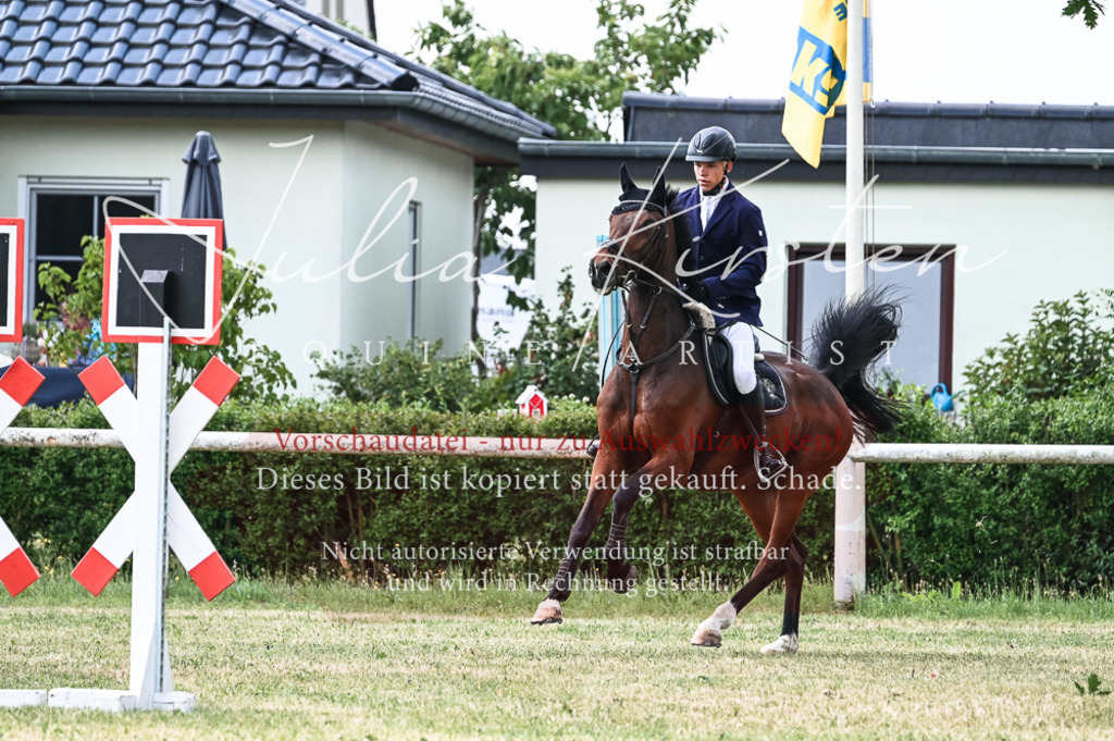 DSC_8942 | Pferde- und Turnierfotografie in Westsachsen. Pferdeportraits, Auftragszeichnungen und intuitive Kunst.
