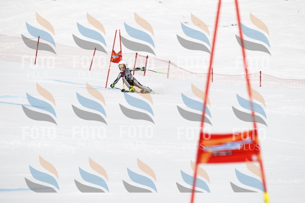 _U3G6310 | holidayphoto