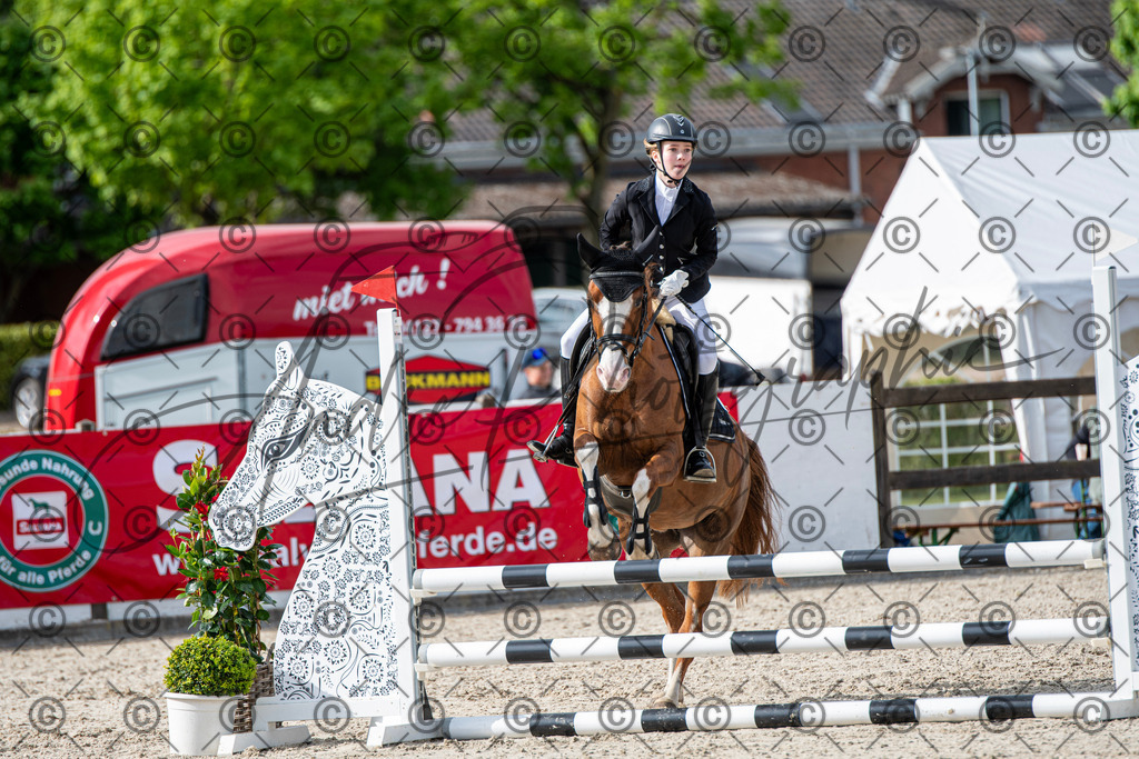 KPT_6677 | andre_photographic