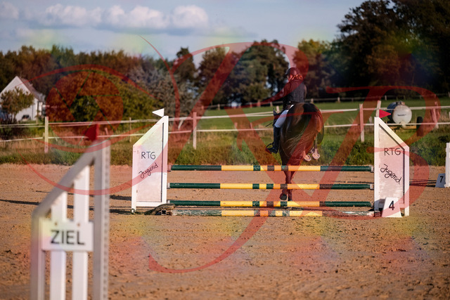 2026_10_03_Siefer-Hof_171906_Z81_17198659 | Professionelle Reitsport-, Turnier- und Eventfotografie von Robert Broda. Galerien mit ausgewählten und bearbeiteten Bildern direkt online ansehen und bestellen.