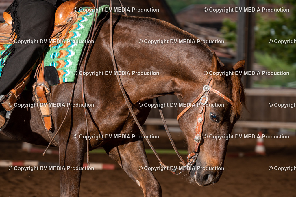 Erbach Tag 3-464 | dv-media-shop - Realisiert mit Pictrs.com