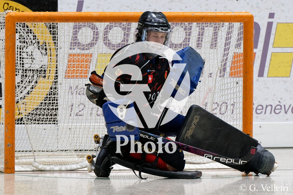 DSC_6299 | Velletri Photo