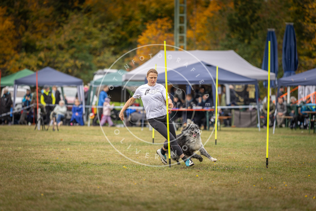 Pfotenfotografie_DV3A5984 | Hundefotografie, Tierfotograf, Pfotenfotografie, Fotoshooting Hund, Hunde Portrait, Hundesport, Hundeportraits, Heideshooting, Hunde, Sportfotograf, Hundefotograf, Turnierhundsport, THS,  - Realisiert mit Pictrs.com