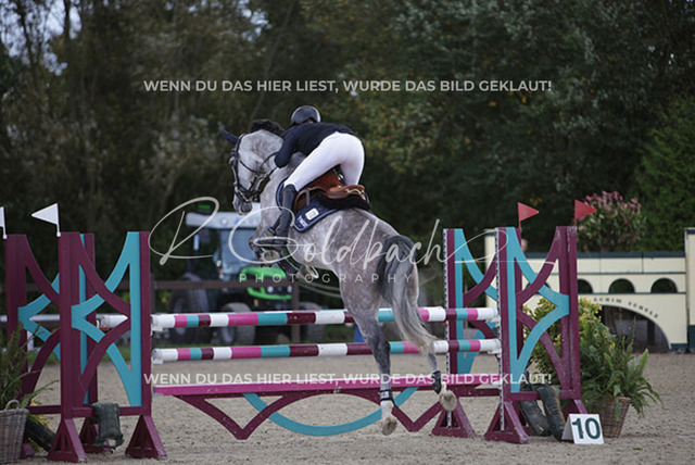 1J2A5155Pheline Ahlmann_ Mirella 26_ Kn735_ Havekost | Foto- und Videografie für alles rund ums Pferd. Hochwertige Bilder und Videos vom Spring- und Dressurreiten, Voltigieren & mehr. Jetzt aktuelle Veranstaltungen und Preise im Shop ansehen. - Realisiert mit Pictrs.com