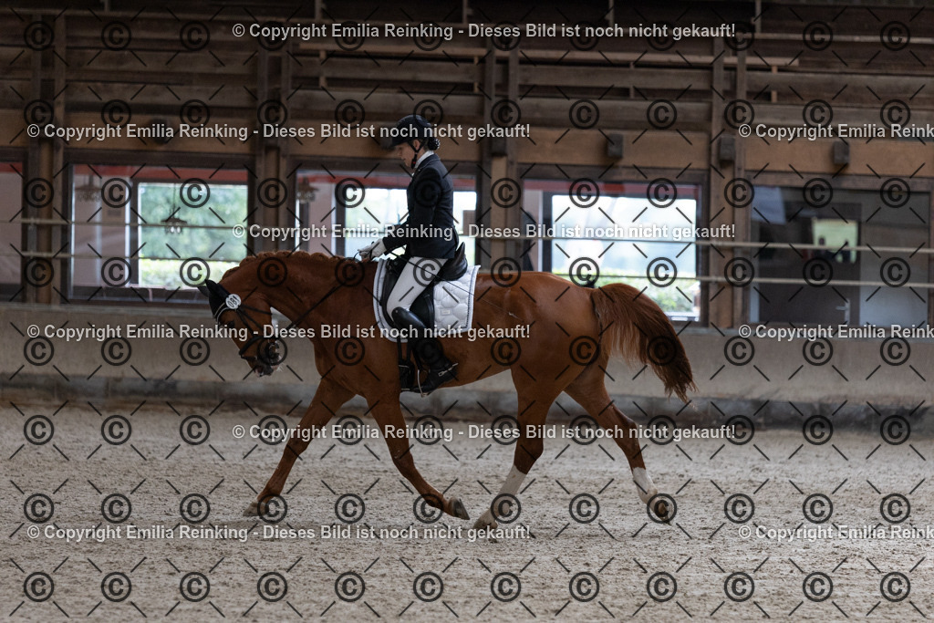 CL5A0787 | Emilia Reinking Fotografie - Realisiert mit Pictrs.com