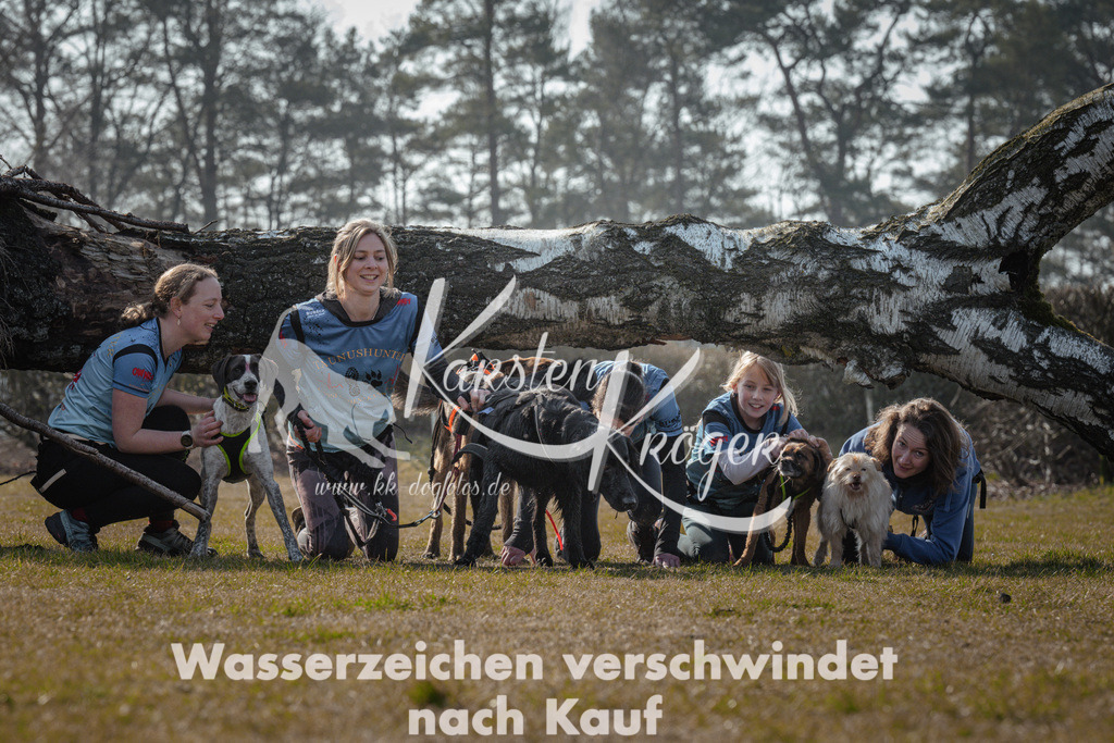 1109_ZZ94741 | kk-dogfotos