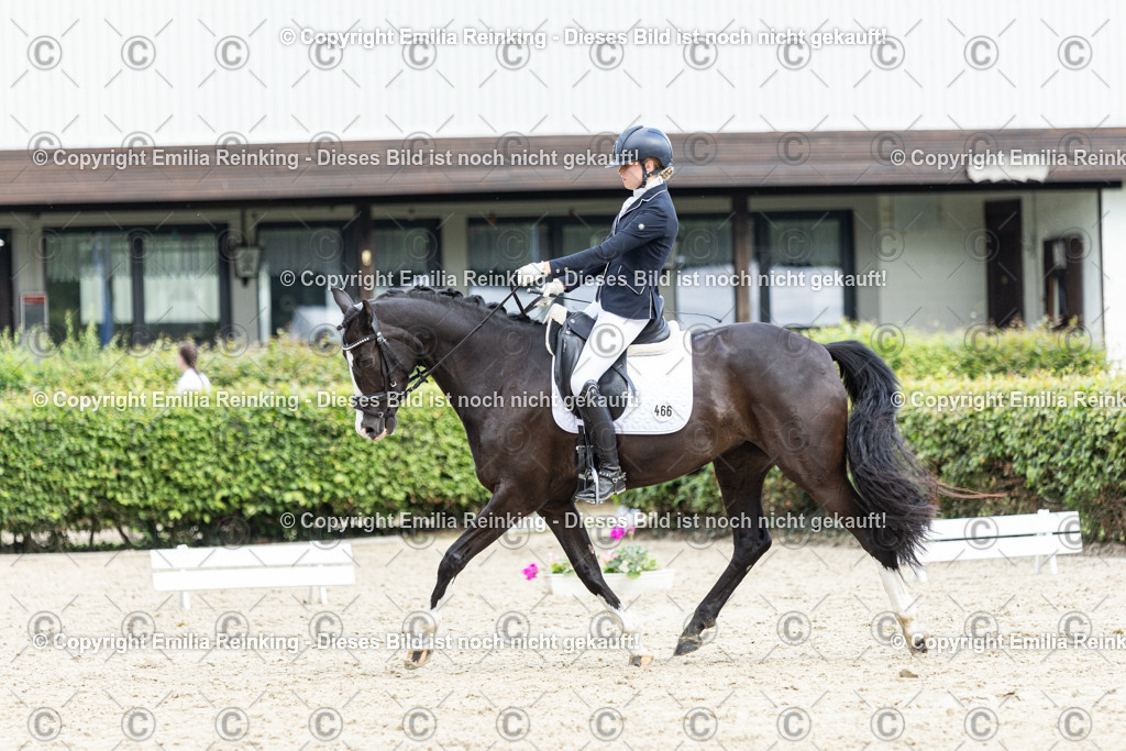 CL5A5889-2 | Emilia Reinking Fotografie - Realisiert mit Pictrs.com