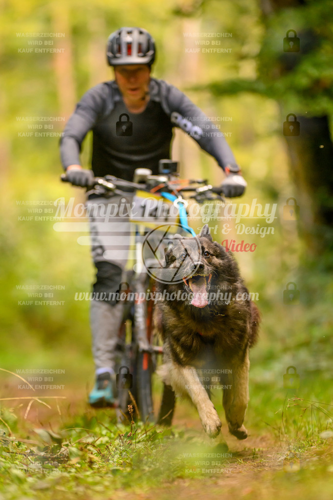 MompixPhotography_Yens2025_B2-142 | PayLife
