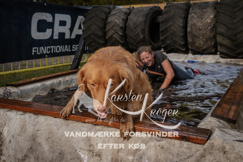 1443_ZZ94959 | kk-dogfotos