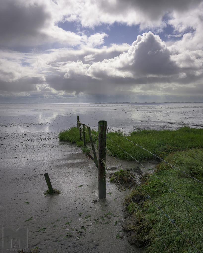 Wattenmeer | Landschafts- und Tierfotografie zu allen Jahreszeiten. Und immer die Schönheit des Lichtes im Auge... - Realisiert mit Pictrs.com