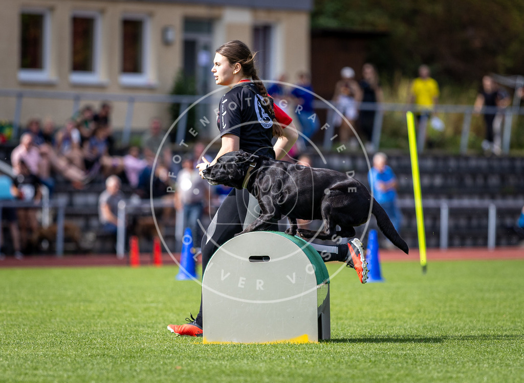 Pfotenfotografie_DV3A1003 | Hundefotografie, Tierfotograf, Pfotenfotografie, Fotoshooting Hund, Hunde Portrait, Hundesport, Hundeportraits, Heideshooting, Hunde, Sportfotograf, Hundefotograf, Turnierhundsport, THS,  - Realisiert mit Pictrs.com