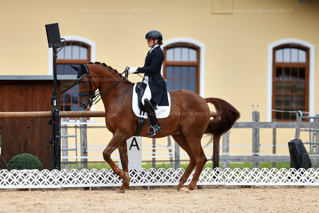 11-141-Dressur S___-StoibPH-864 | working equitationturnier fotograf videograf stoibphotography marixx film working equitation deutschland reitsport turnierfotografie eventfotografie equestrian events
