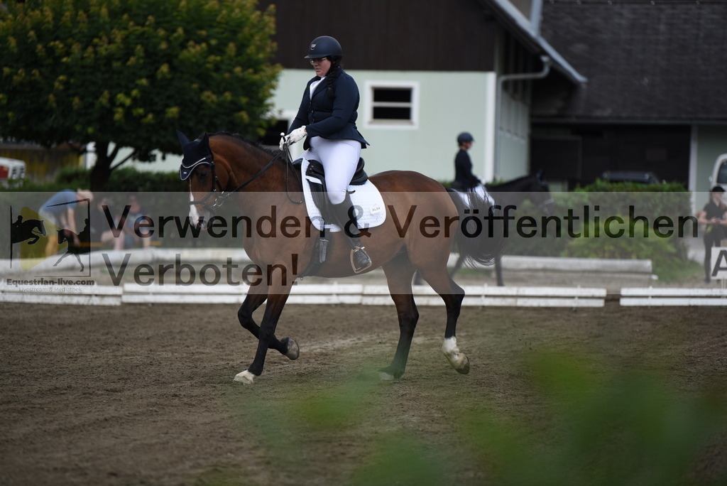 DSC_4103 | equestrian-live-com